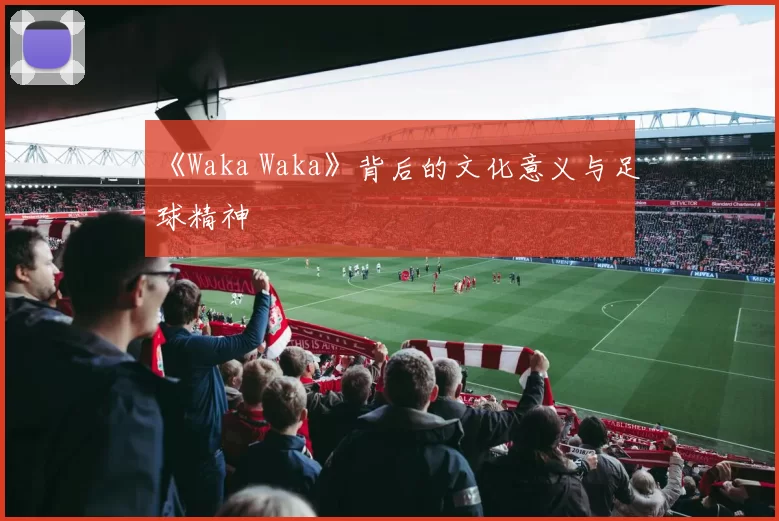 《Waka Waka》背后的文化意义与足球精神