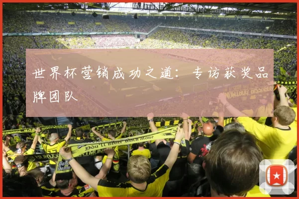 世界杯营销成功之道:专访获奖品牌团队