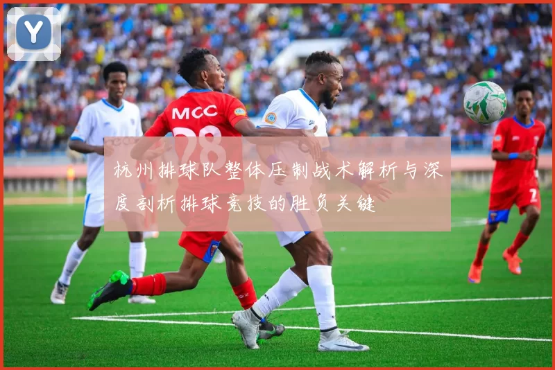 杭州排球队整体压制战术解析与深度剖析排球竞技的胜负关键