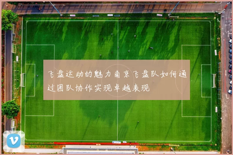 飞盘运动的魅力南京飞盘队如何通过团队协作实现卓越表现