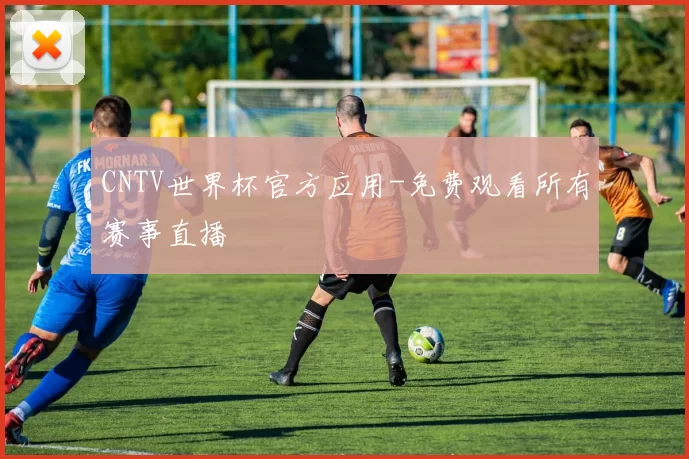 CNTV世界杯官方应用-免费观看所有赛事直播