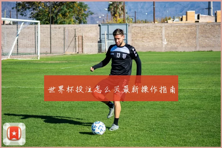 世界杯投注怎么买最新操作指南