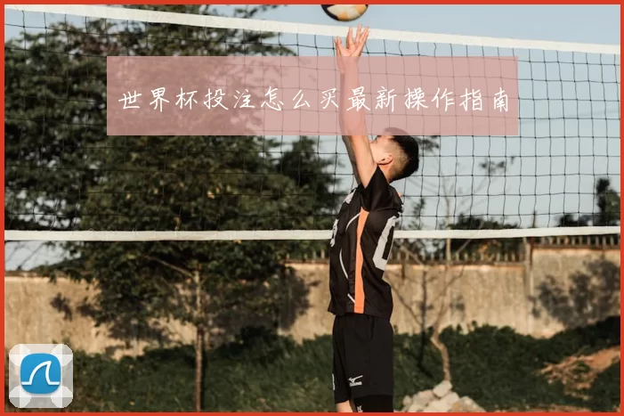世界杯投注怎么买最新操作指南