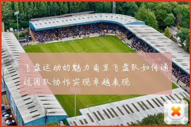 飞盘运动的魅力南京飞盘队如何通过团队协作实现卓越表现